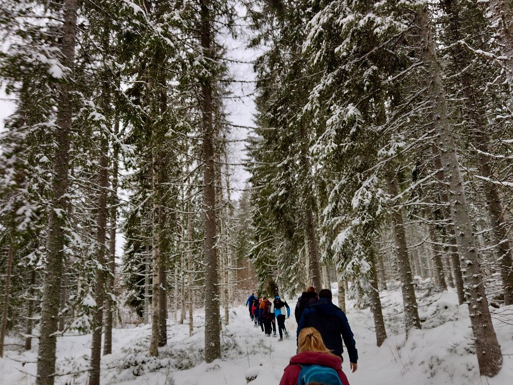 Sneeuwschoenen wandeling